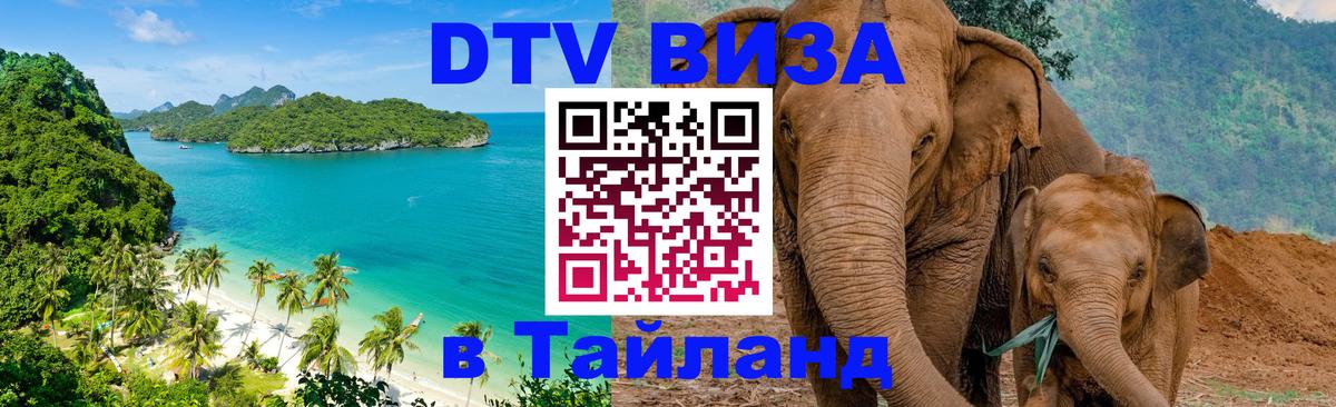 Сколько стоит DTV виза — актуальные цены, оформление даже без документов - 